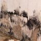 Water Damage and Mould in Building Inspections in Adelaide